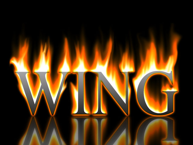 logo-wingwy